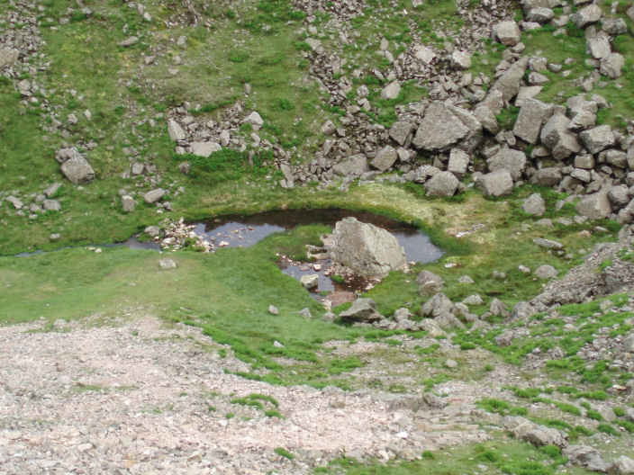 Foxes Tarn Foxes Tarn